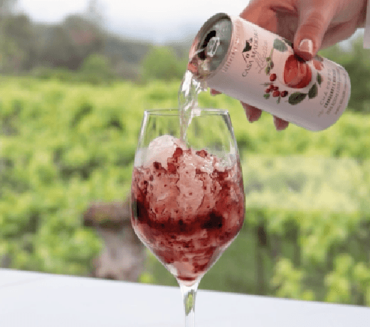 primavera rose foto1