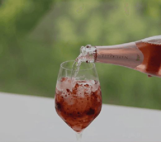 primavera rose foto2